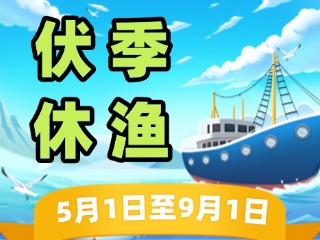 2025年威海伏季休漁政策發(fā)布！